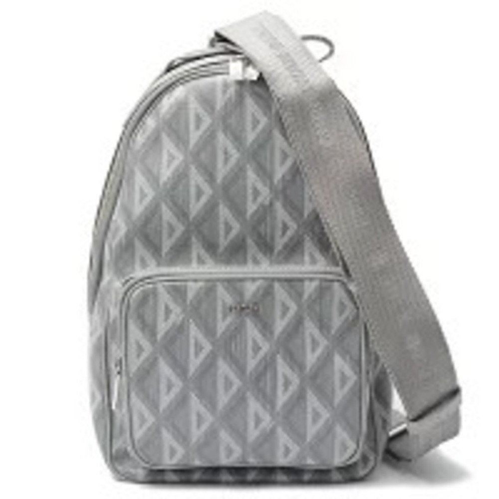 Christian Dior bag Rider sling Body Bum Crossbody Belt gray canvas